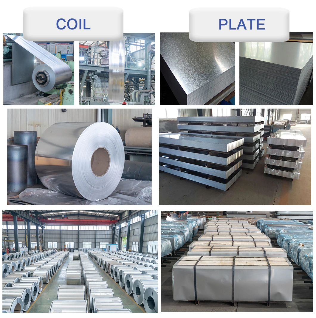 Chinese Supplier High Quality Hot Sell Factory Direct Supply Hot Rolled Coil Customized Size with Good Price Galvanized Steel Coil